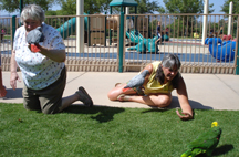 games at hookbill picnic